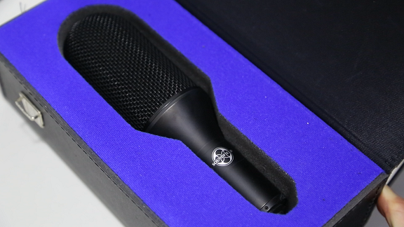 mic